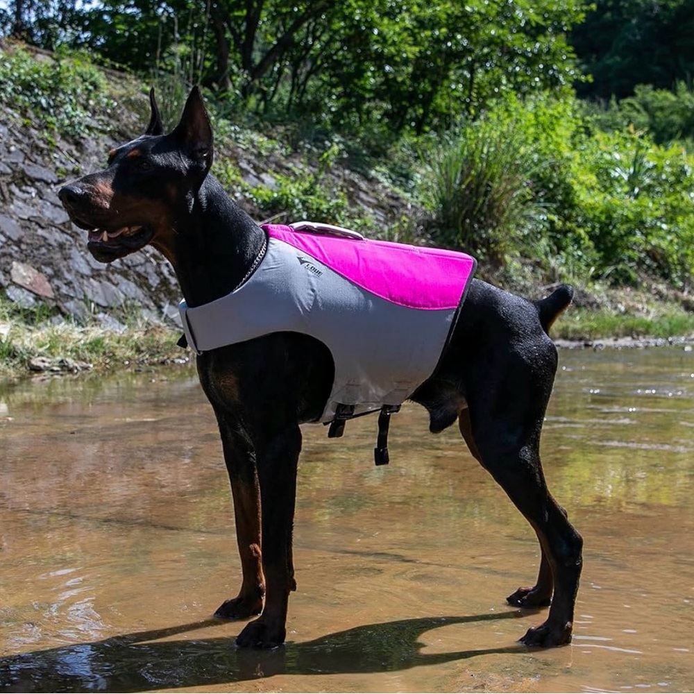 Dog Life Jacket, Sport Style Dog Float Coat with Excellent Buoyancy, Stylish Dog